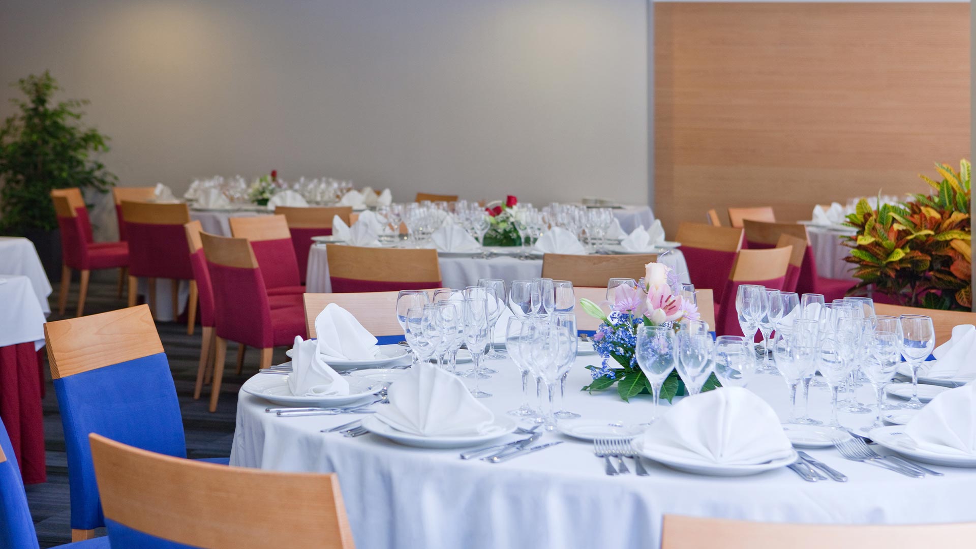 Eventos-Sala-Gata-Protur-Roquetas-Hotel-Spa .jpg